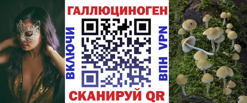 Галлюциногенные грибы прущие грибы  блэк спрут зеркало  Куса 